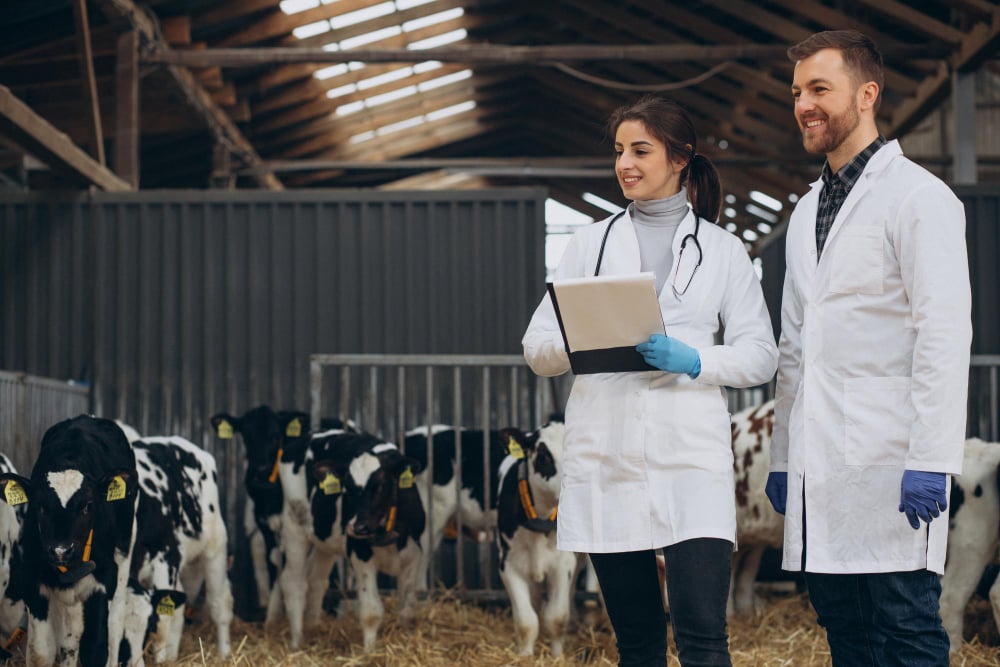 Alimentación de animales a base de alfalfa peletizada