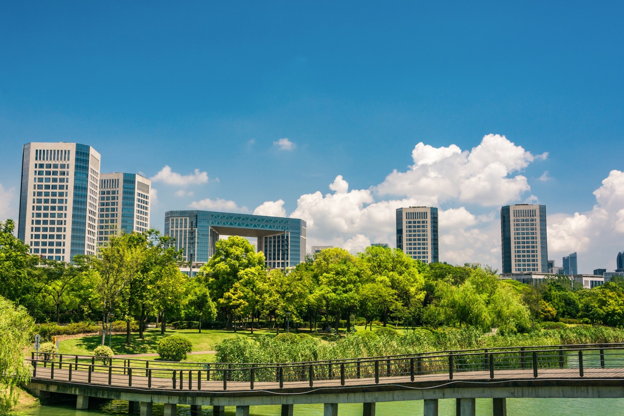 Descarbonización de una ciudad por medio de energía sostenible a través de pellets de biomasa
