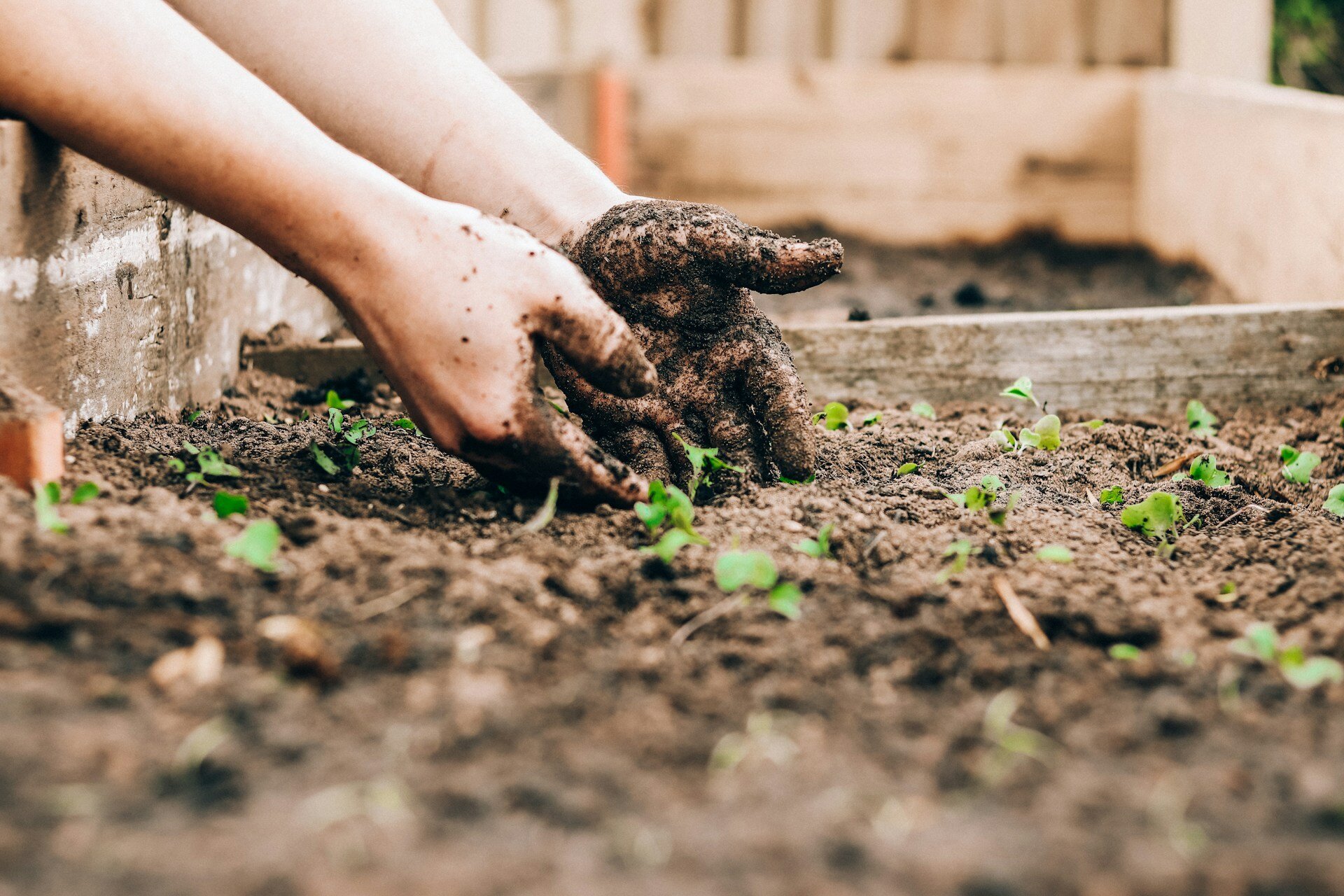 pellets como fertilizante para plantas