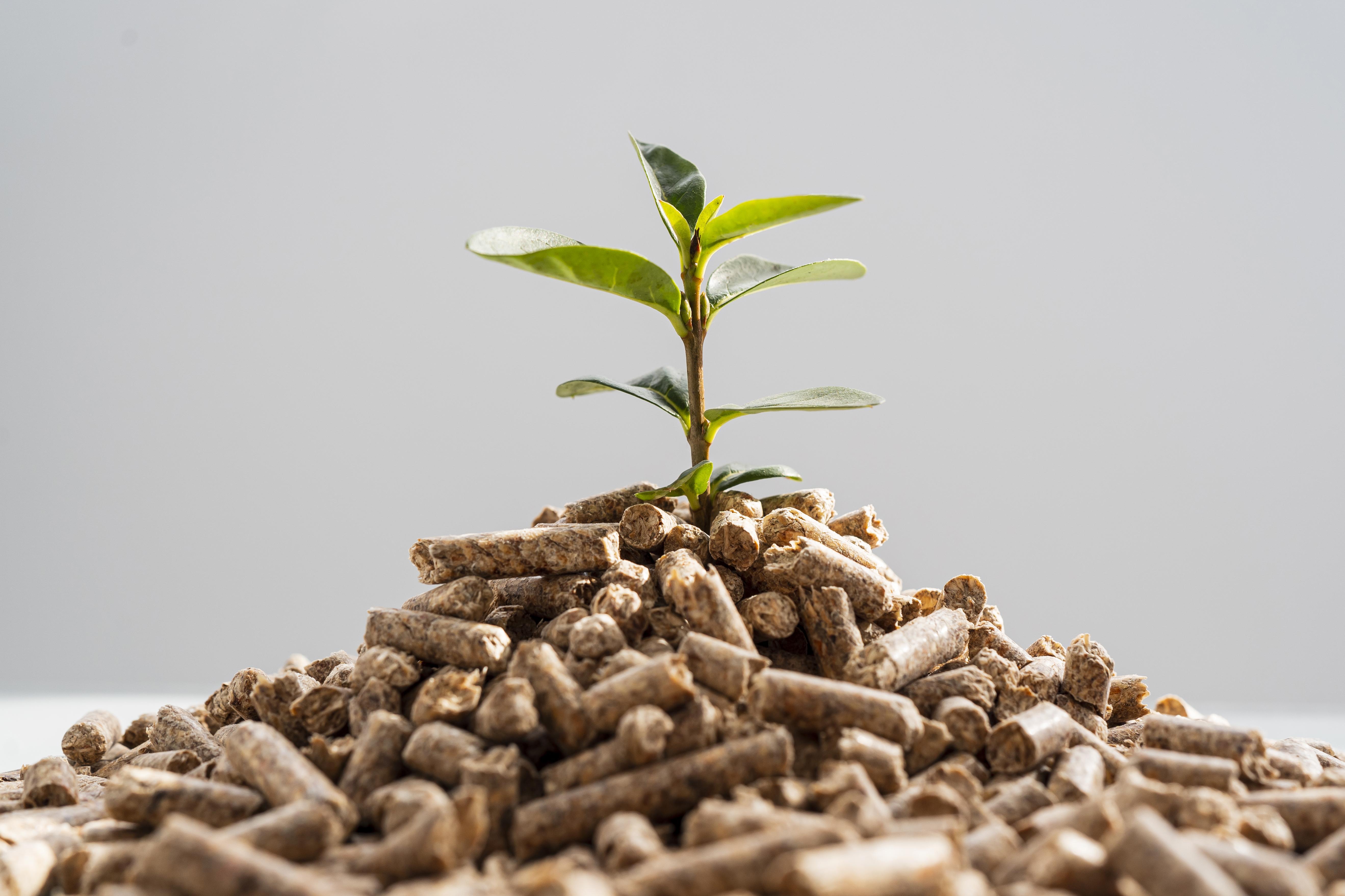 Uso de pellets de biomasa como una aplicación de calefacción sustentable.