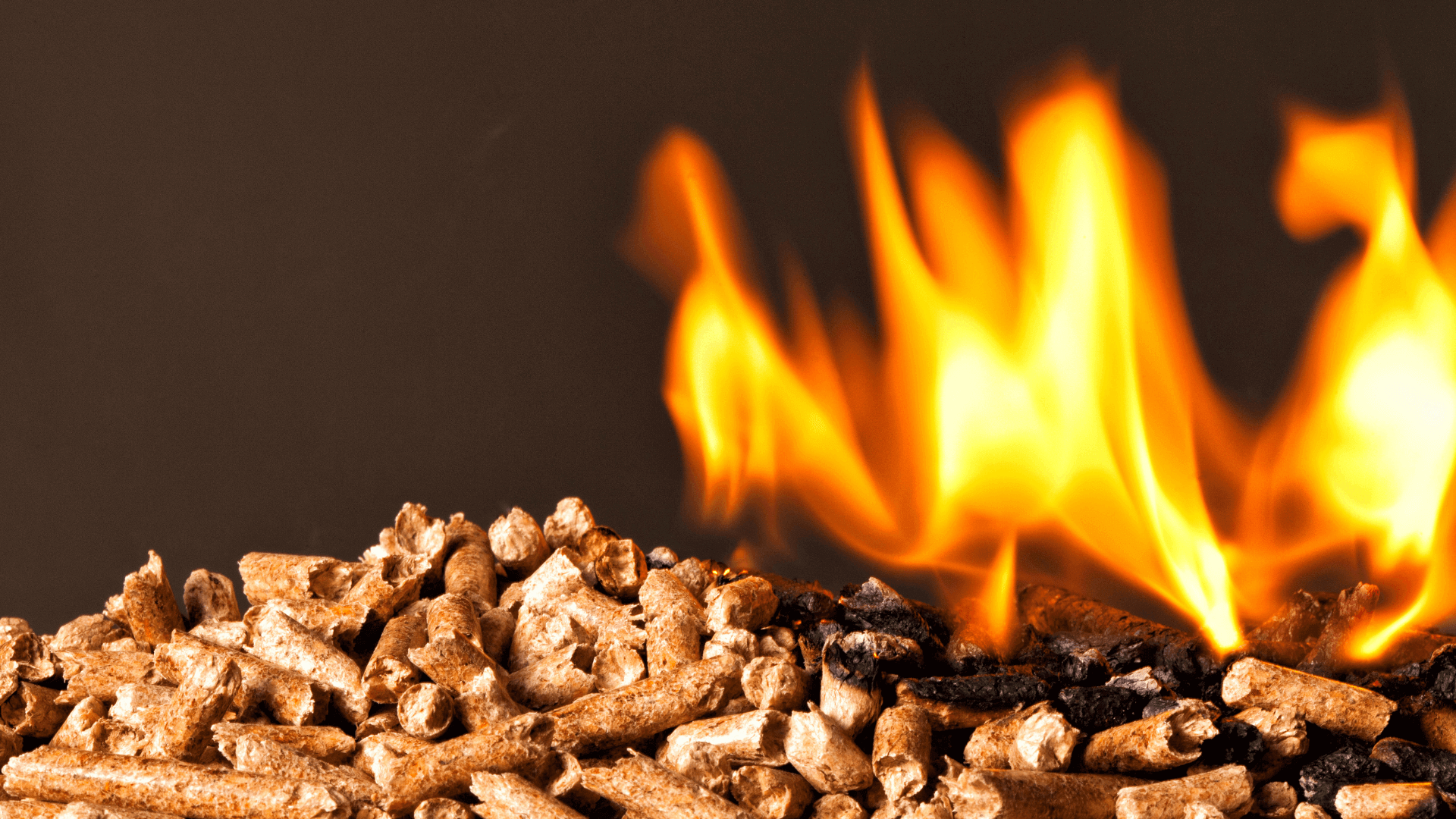 pellets con fuego utilizados como ahumador de carne